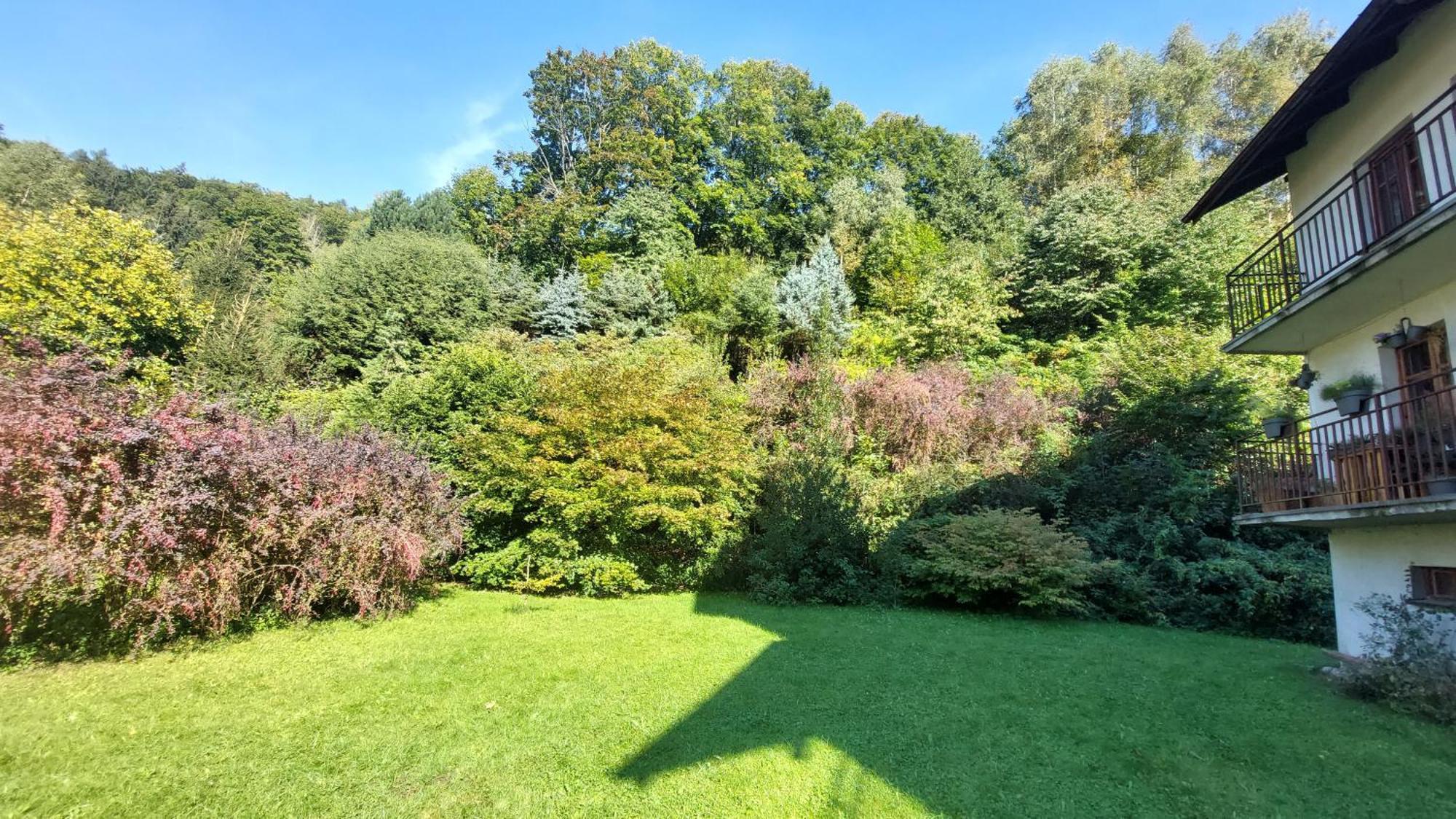 Apartament Miedzygorski ミエンジグジェ エクステリア 写真