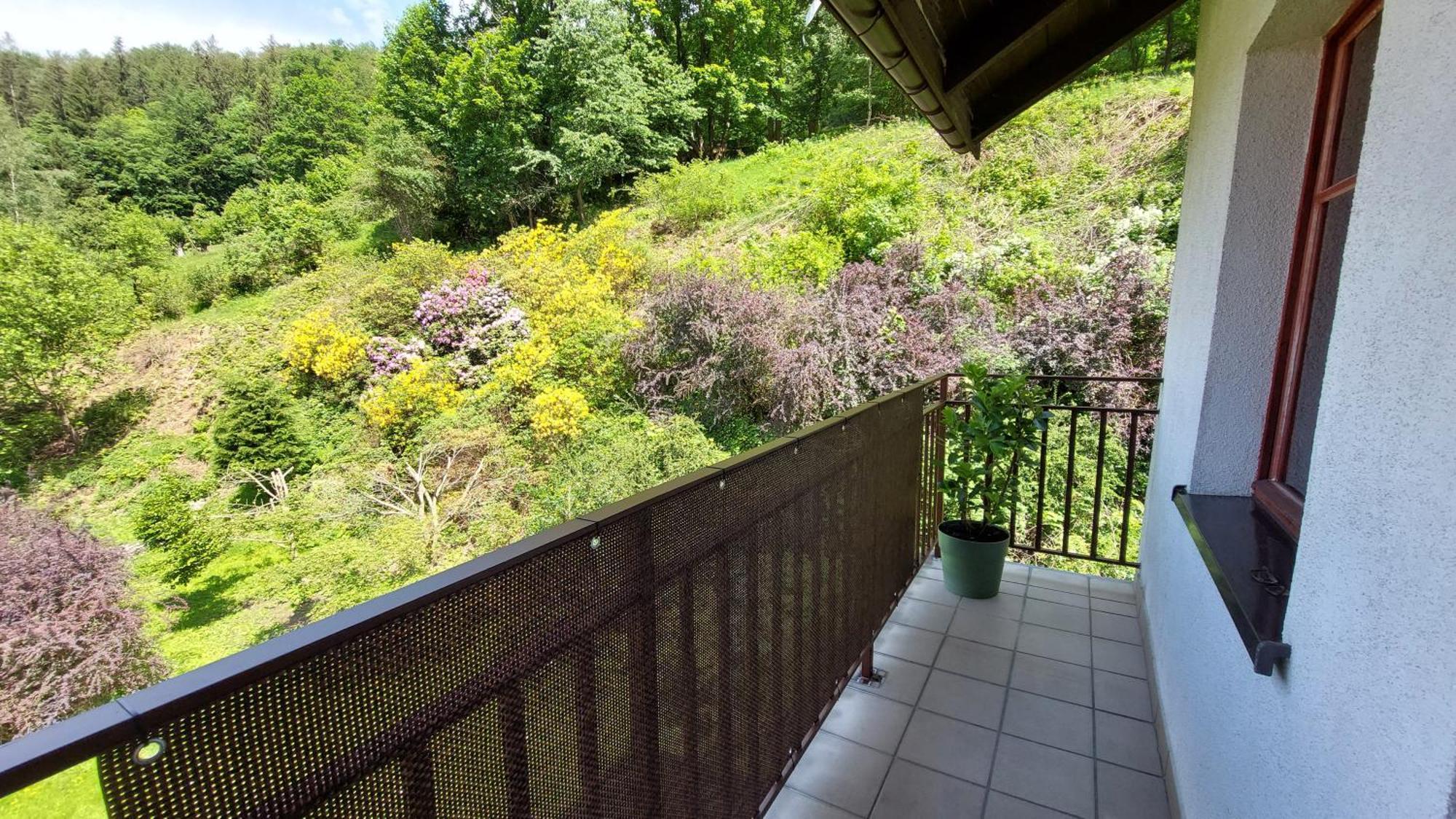 Apartament Miedzygorski ミエンジグジェ エクステリア 写真